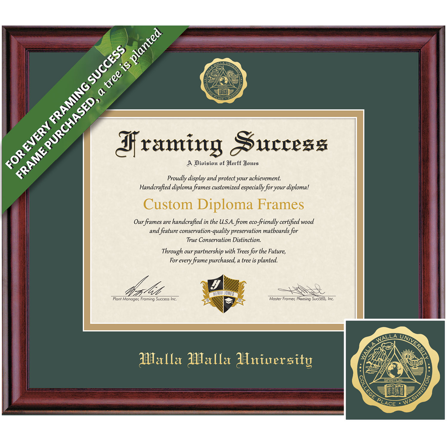 Framing Success 8 x 10 Classic Gold Embossed School Name Masters Diploma Frame