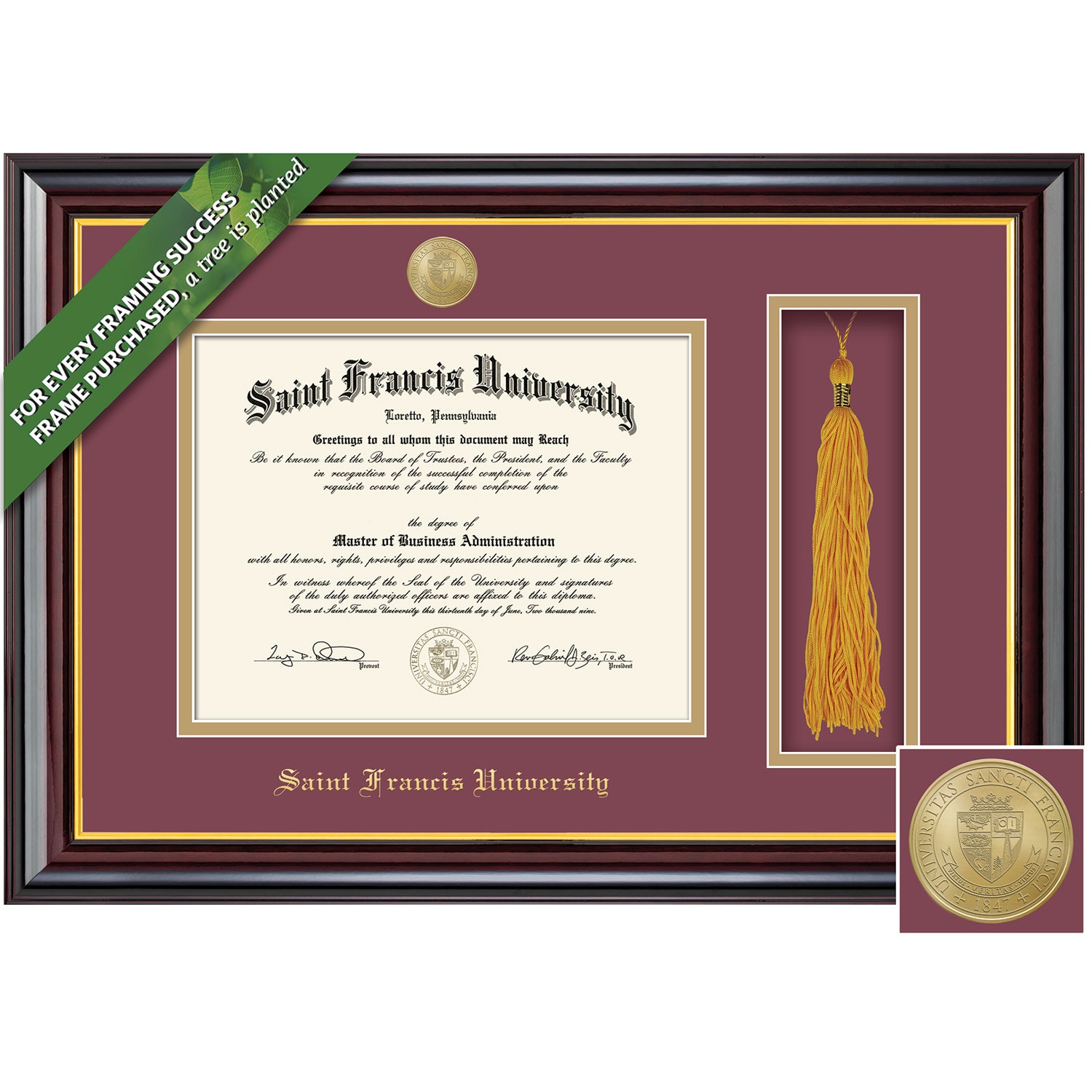 Framing Success 8.5 x 11 Windsor Gold Medallion Bachelors, Masters, Doctorate, Honors Diploma/Tassel Frame