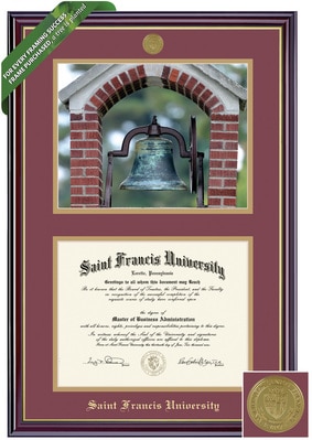Framing Success 8.5 x 11 Windsor Gold Medallion Bachelors, Masters, PhD Diploma/Photo Frame