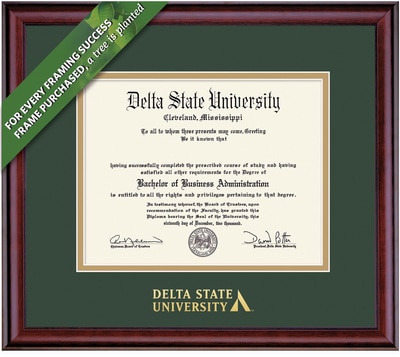 Framing Success 8.5 x 11 Classic Gold Embossed School Name Bachelors, Masters, Doctorate Diploma Frame