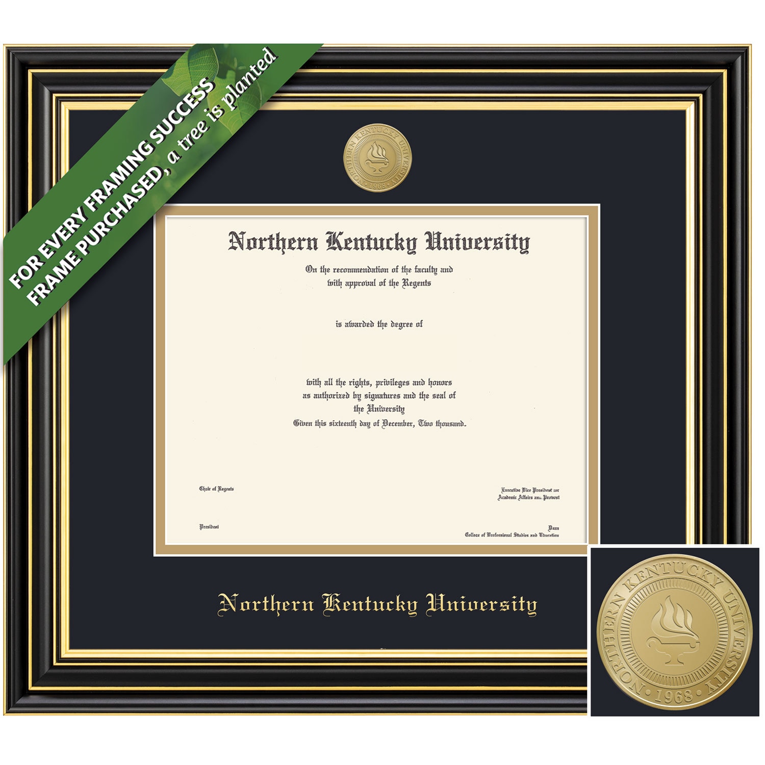 Framing Success 11 x 14 Prestige Gold Medallion Doctorate Diploma Frame