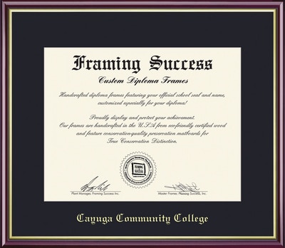 Framing Success 8.5 x 11 Academic Gold Embossed School Seal Associates Diploma Frame