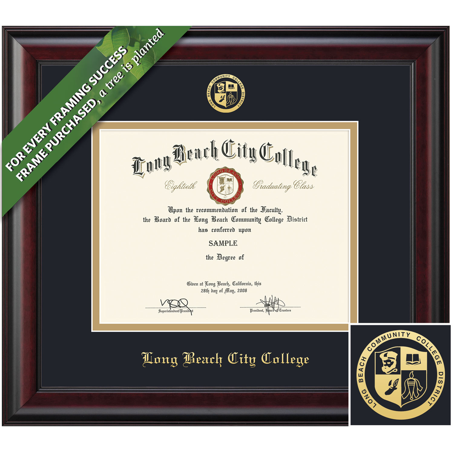 Framing Success 8.5 x 11 Classic Gold Embossed School Seal Associates Diploma Frame