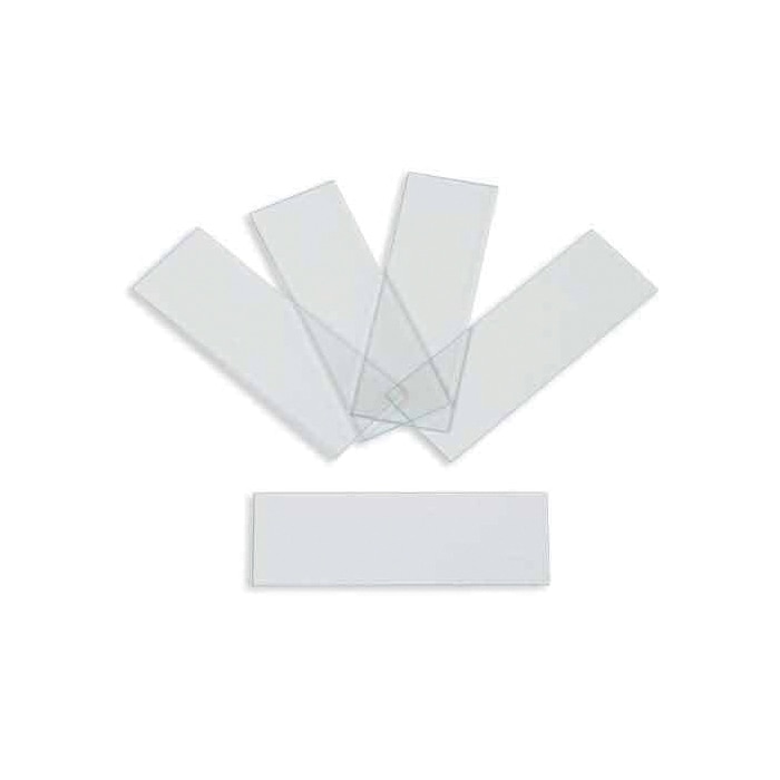 Glass Slides W/Slips, 12Pk