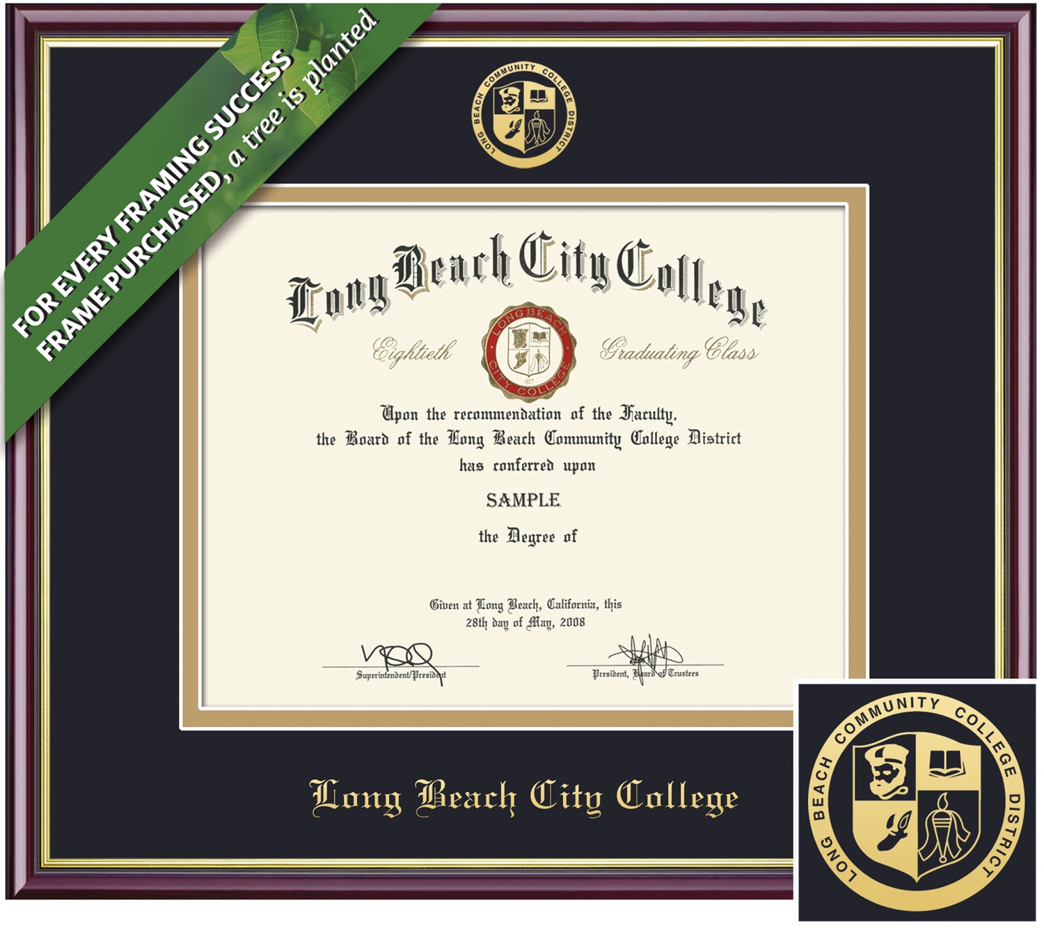 Framing Success 6 x 8 Academic Gold Embossed Seal Associates Diploma Frame.