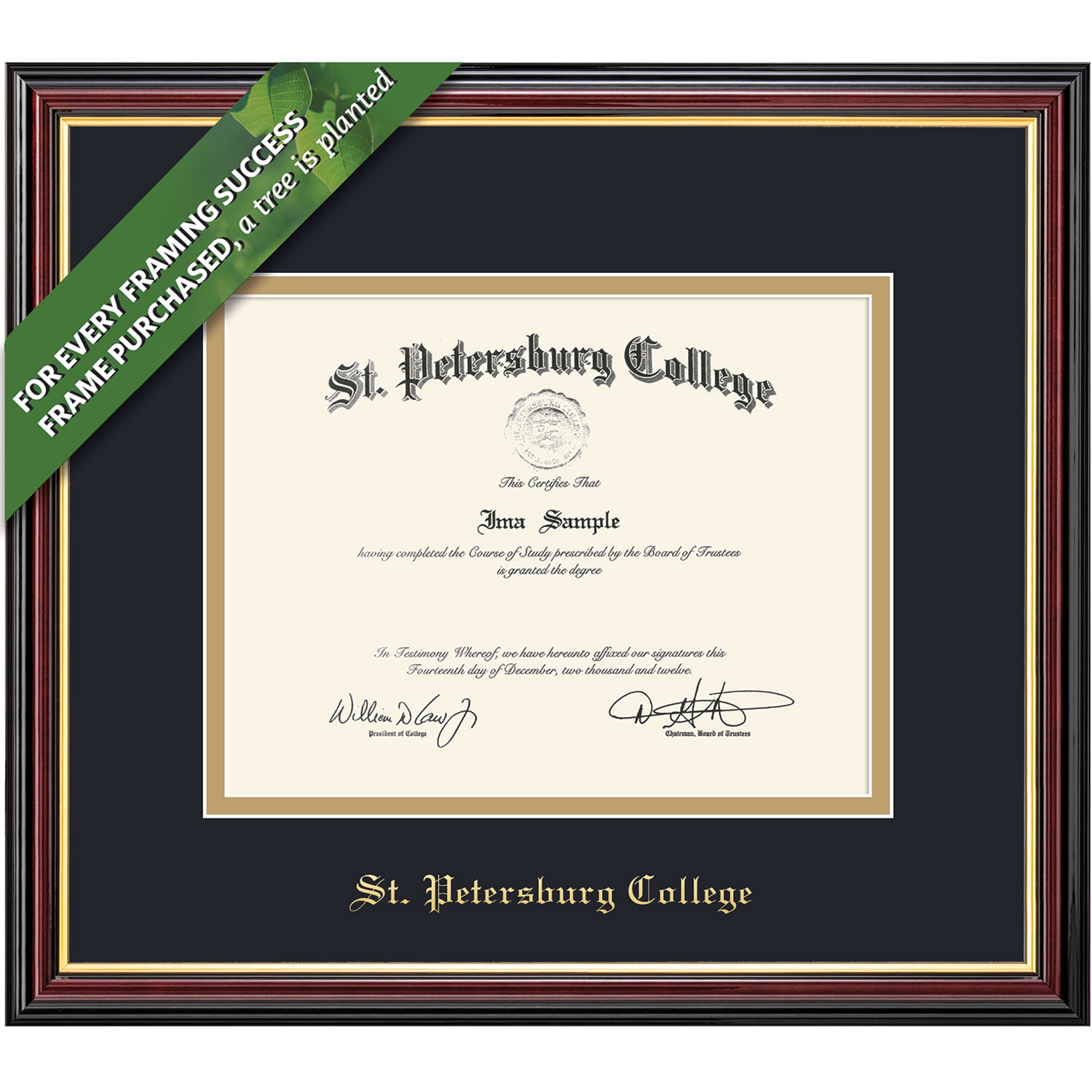 Framing Success 8.5 x 11 Academic Gold Embossed School Name Associates, Bachelors Diploma Frame
