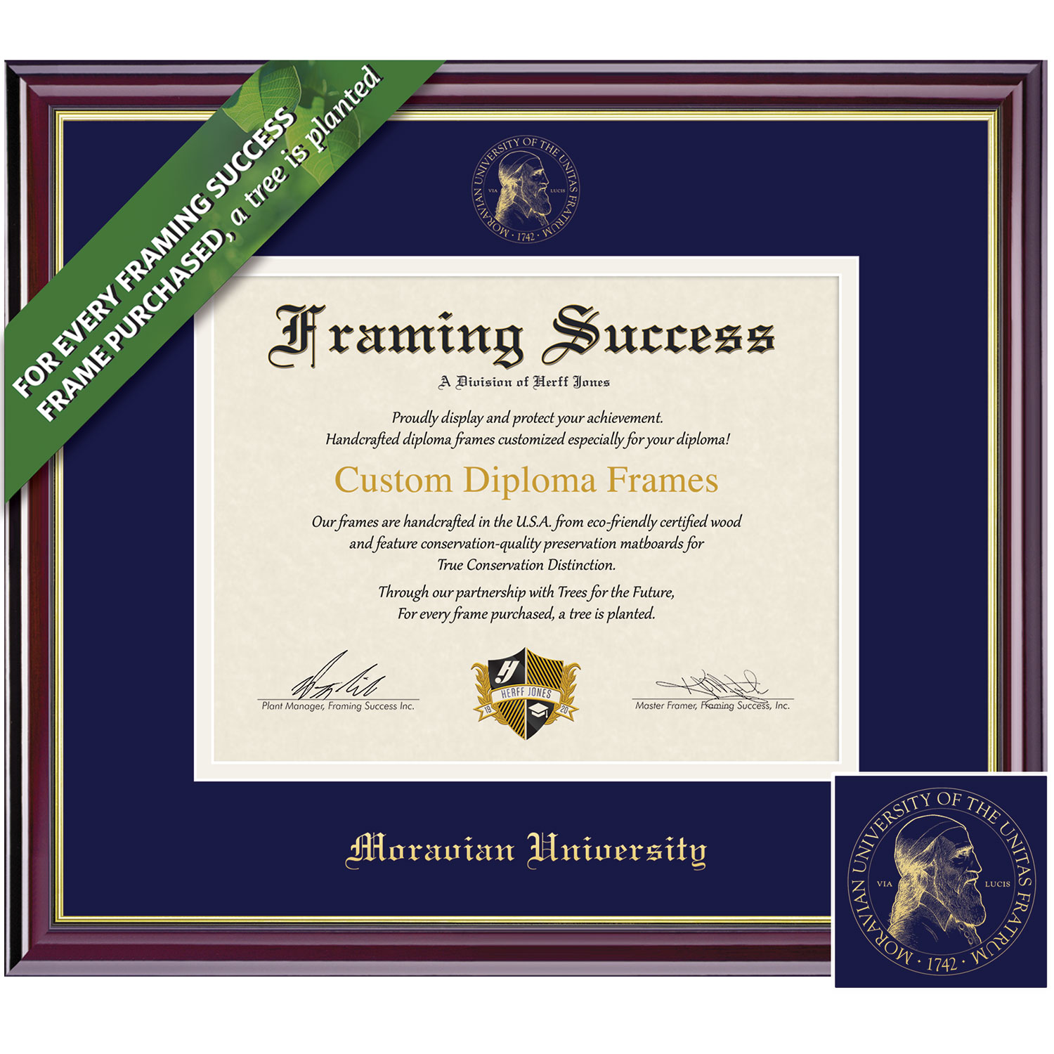 Framing Success 11 x 14 Windsor Gold Embossed School Seal Bachelors, Masters, PhD Diploma Frame