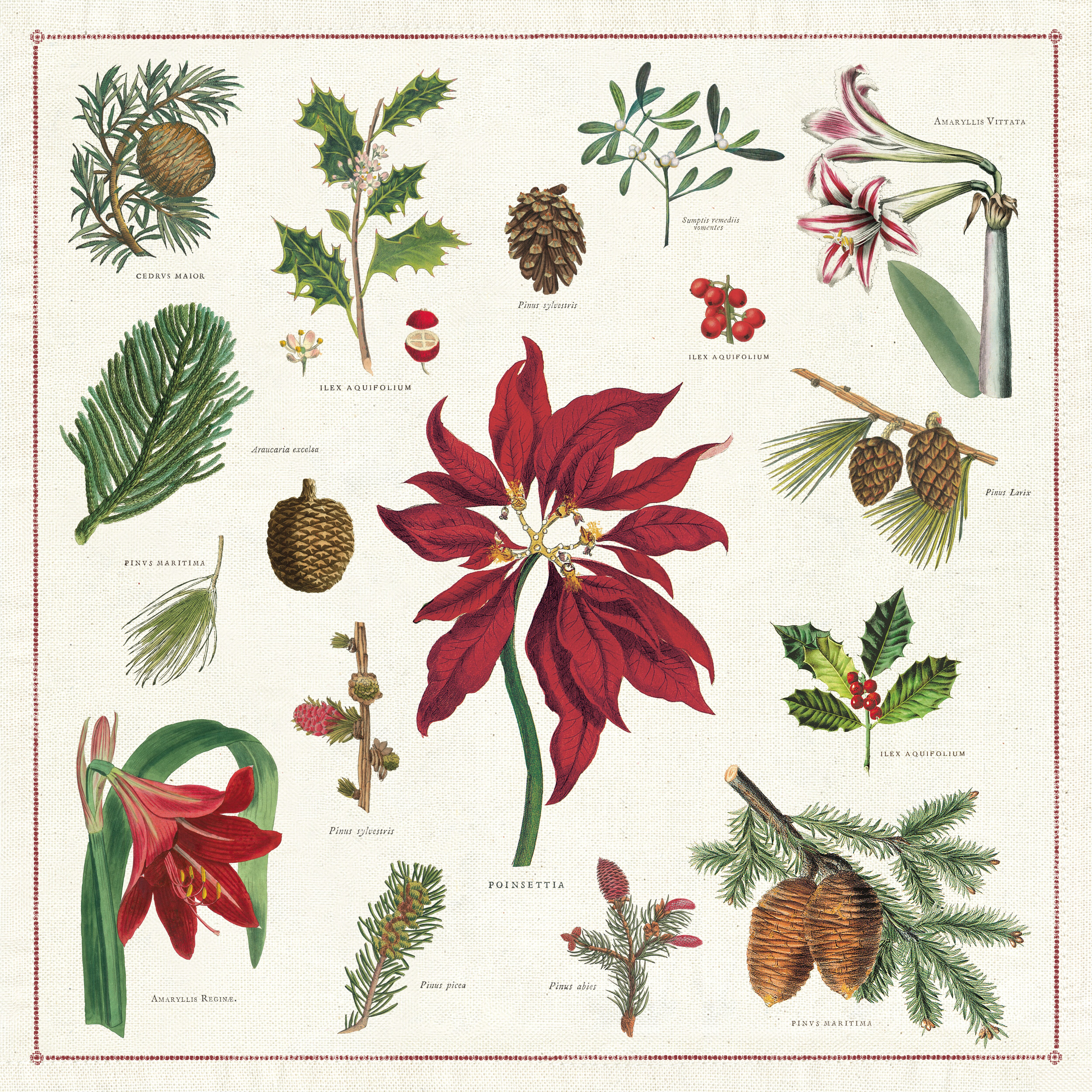 CHRISTMAS BOTANICA Cloth Napkin