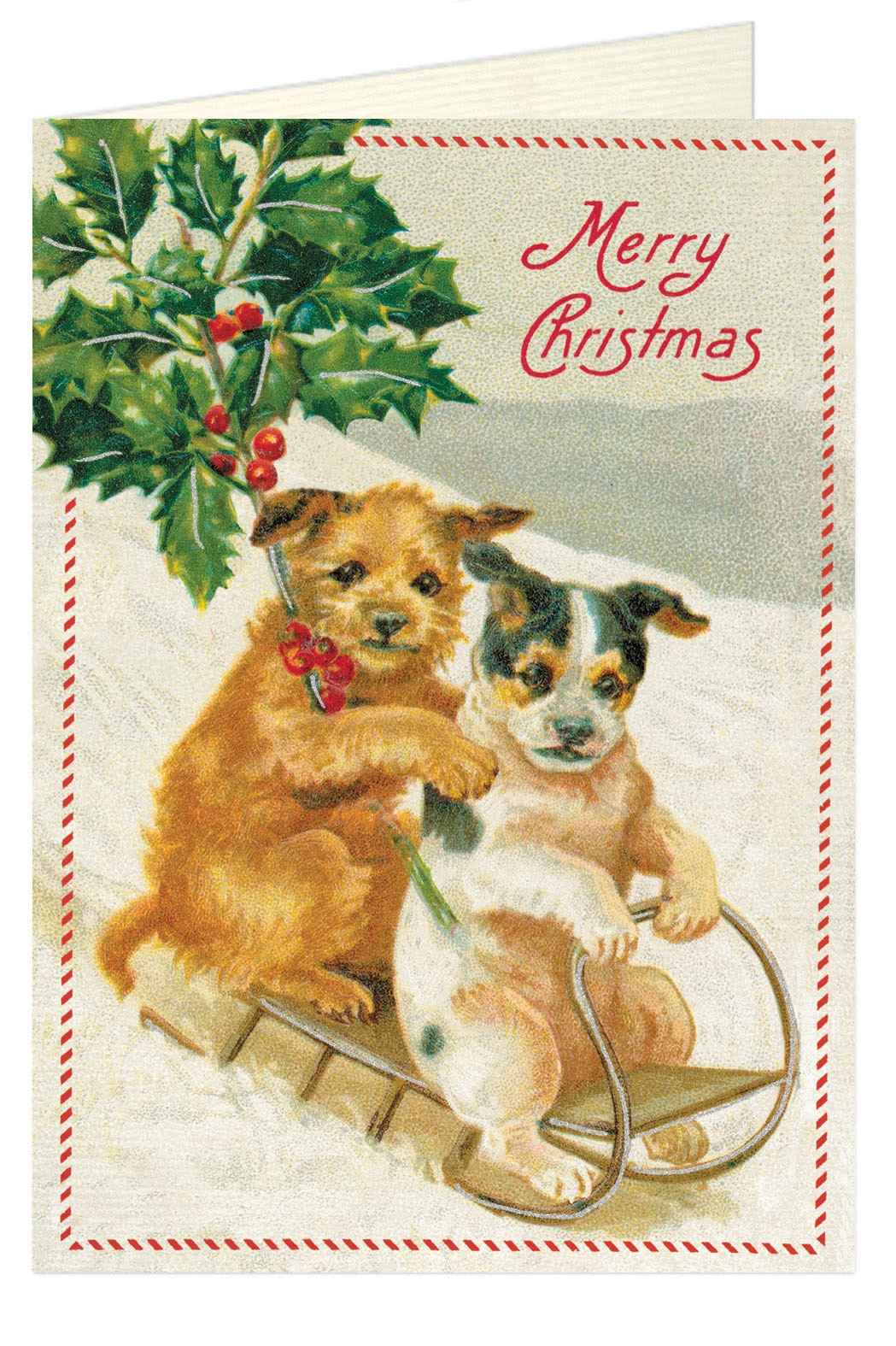 Christmas Dog Card and Envelope