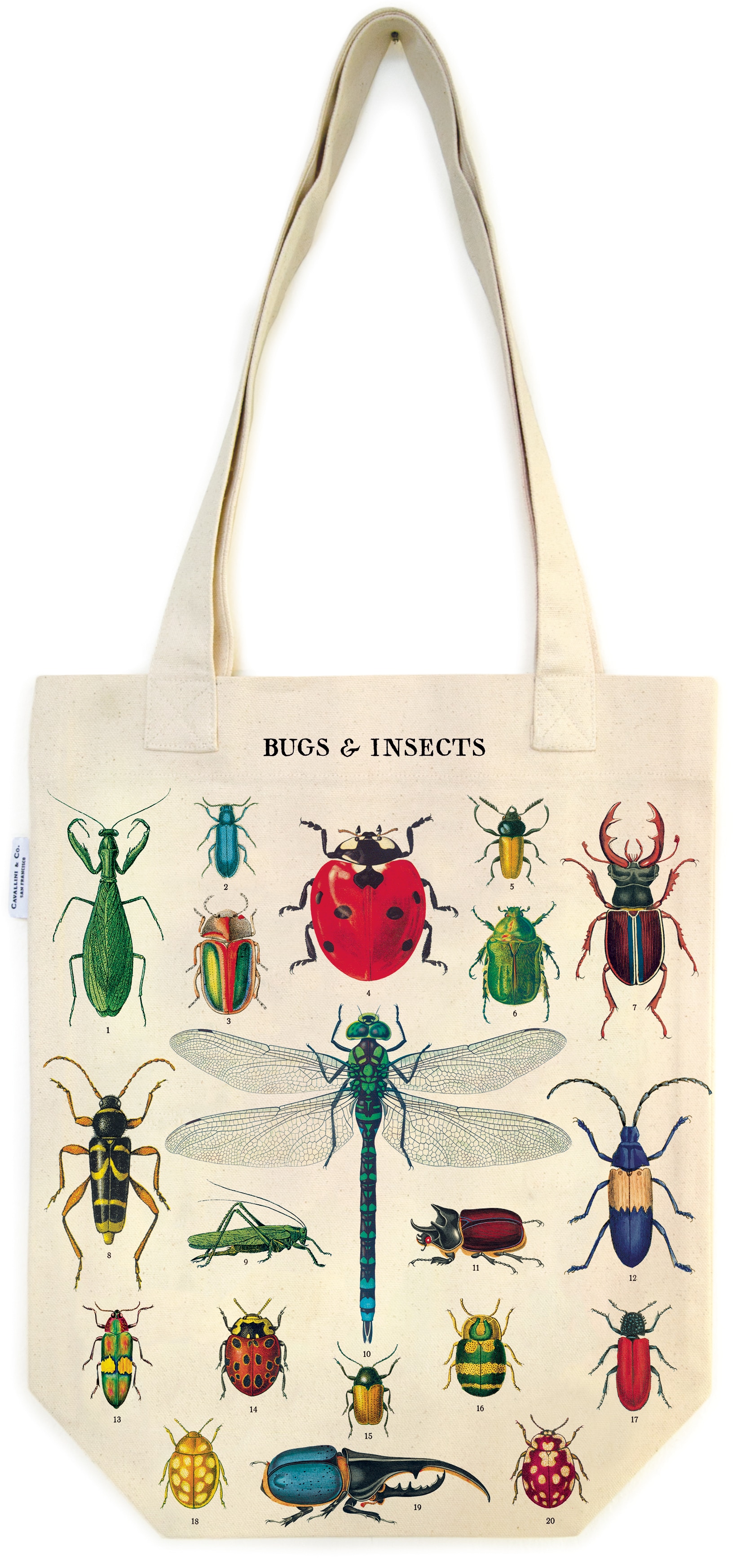 TOTE BUGS & INSECTS