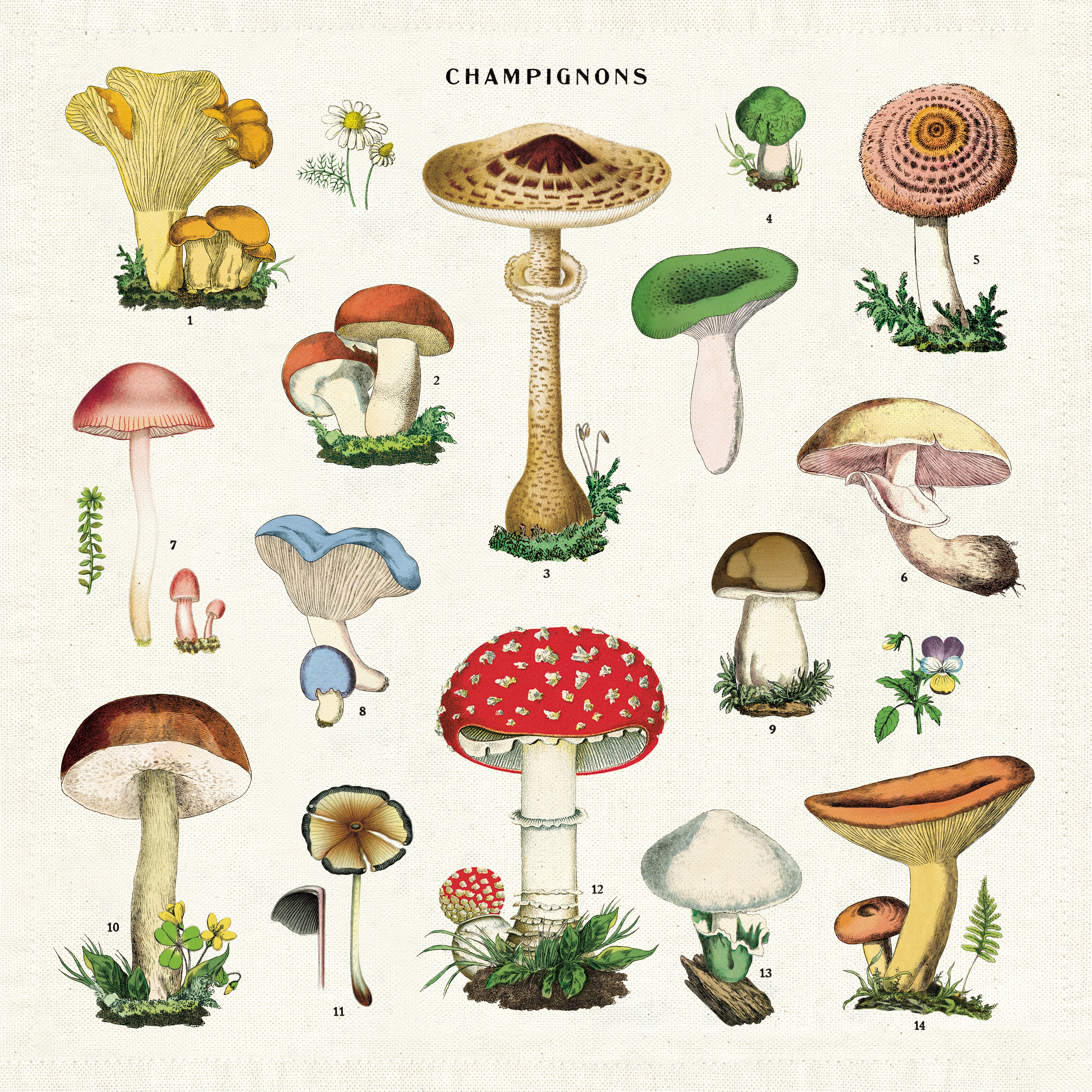 Mushroom Vintage Napkins