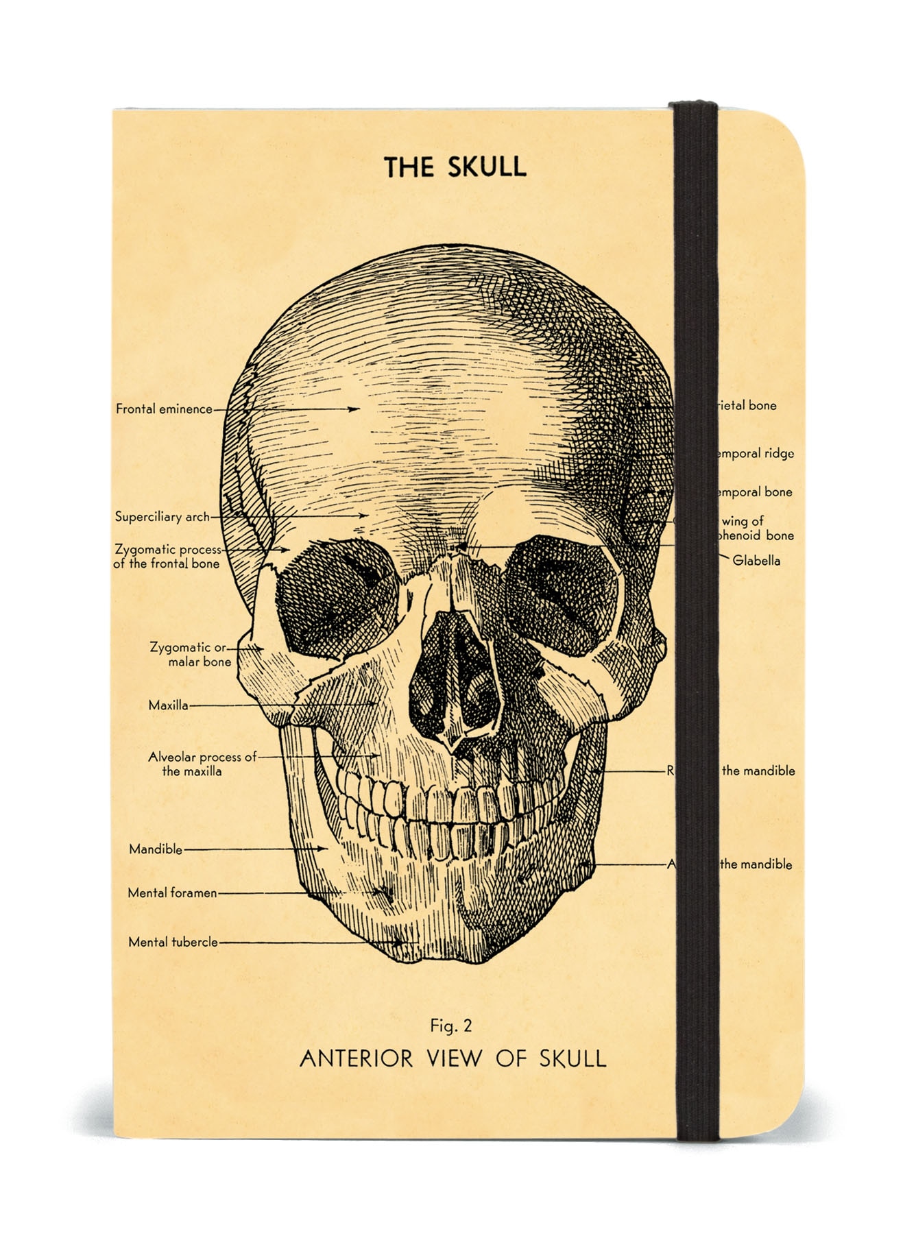 Skull Notebook with Elastic