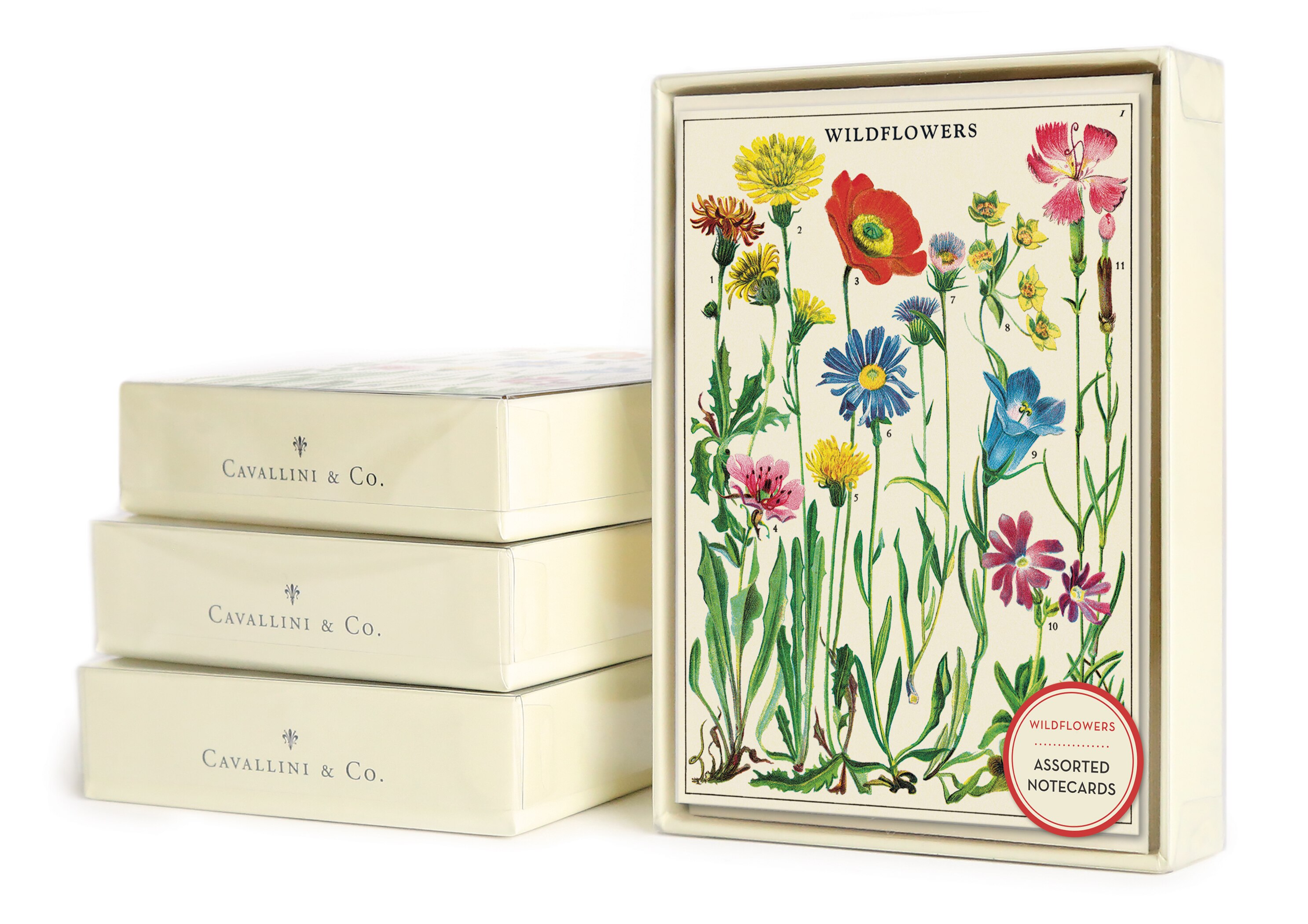 WILDFLOWERS ASSORTED BOXED NOTECARDS