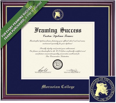 Framing Success 11 x 14 Windsor Gold Embossed School Seal Bachelors, Masters, Doctorate Diploma Frame