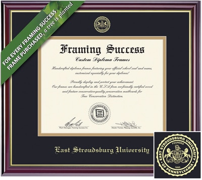 Framing Success 8.5 x 11 Windsor Gold Embossed School Seal Bachelors, Masters Diploma Frame