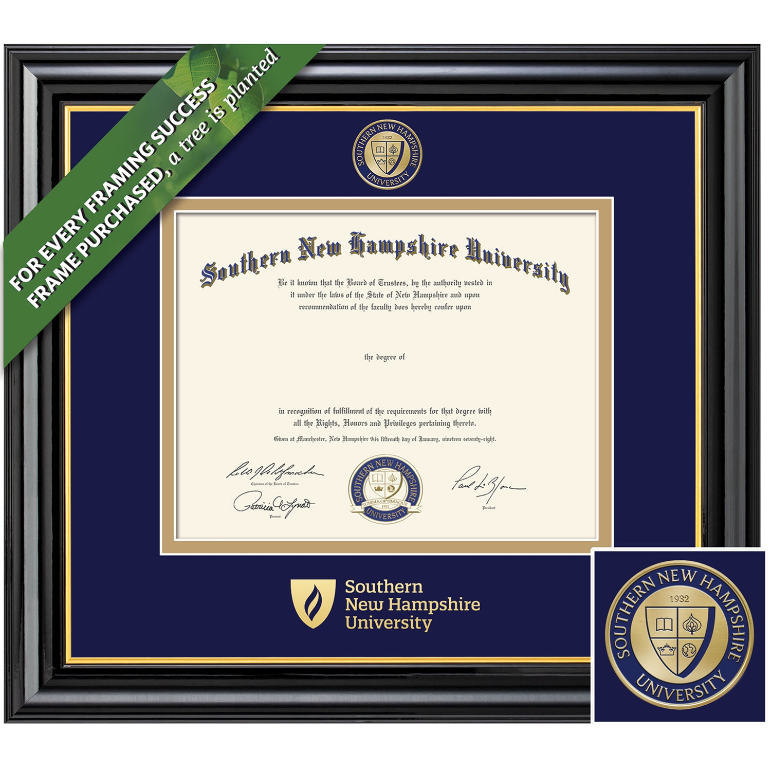 Framing Success 11 x 14 Coronado Colored Medallon PhD Diploma Frame