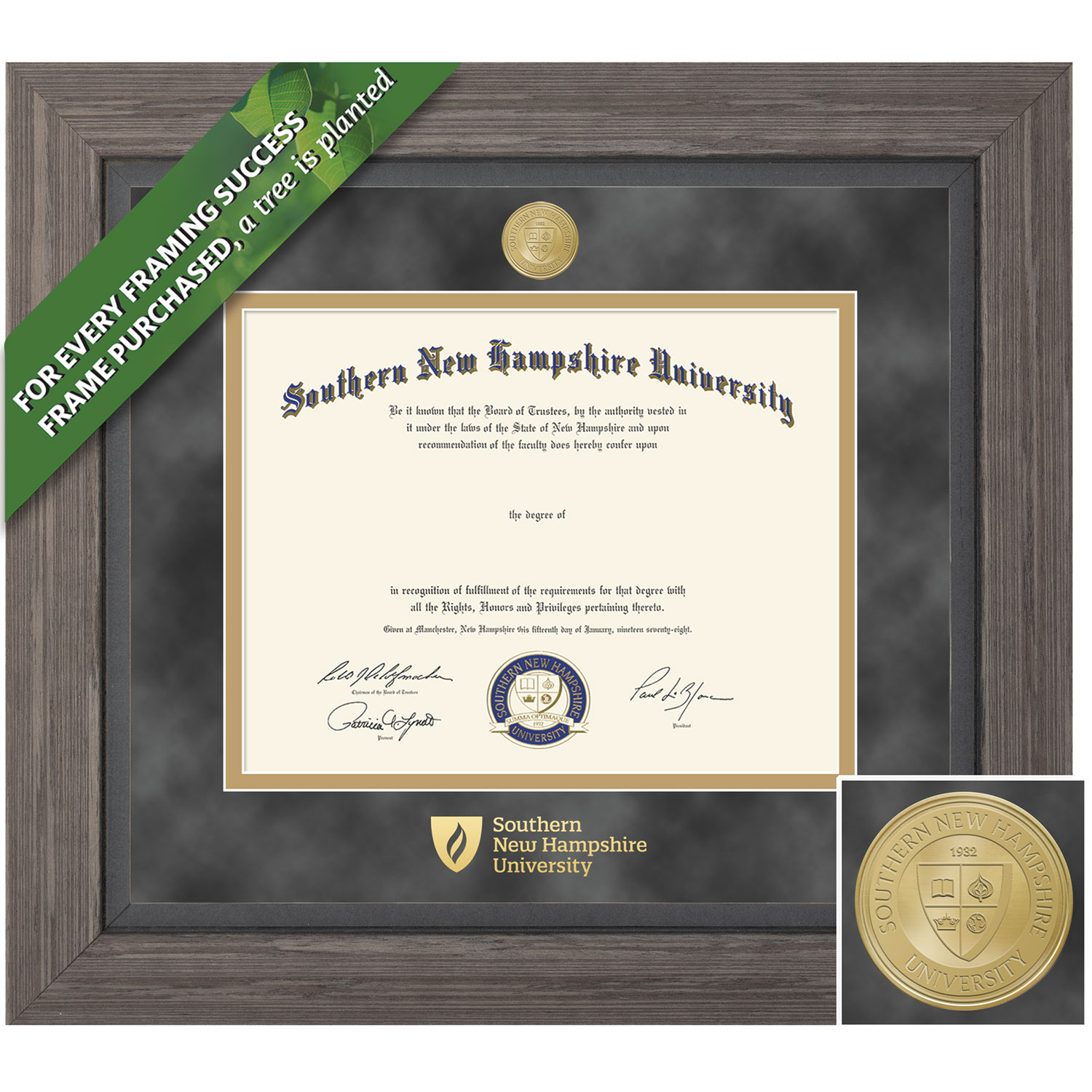 Framing Success 8.5 x 11 Greystone Gold Medallon Bachelors, Masters Diploma Frame