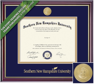 Framing Success 8.5 x 11 Windsor Gold Medallion Bachelors, Masters Diploma Frame