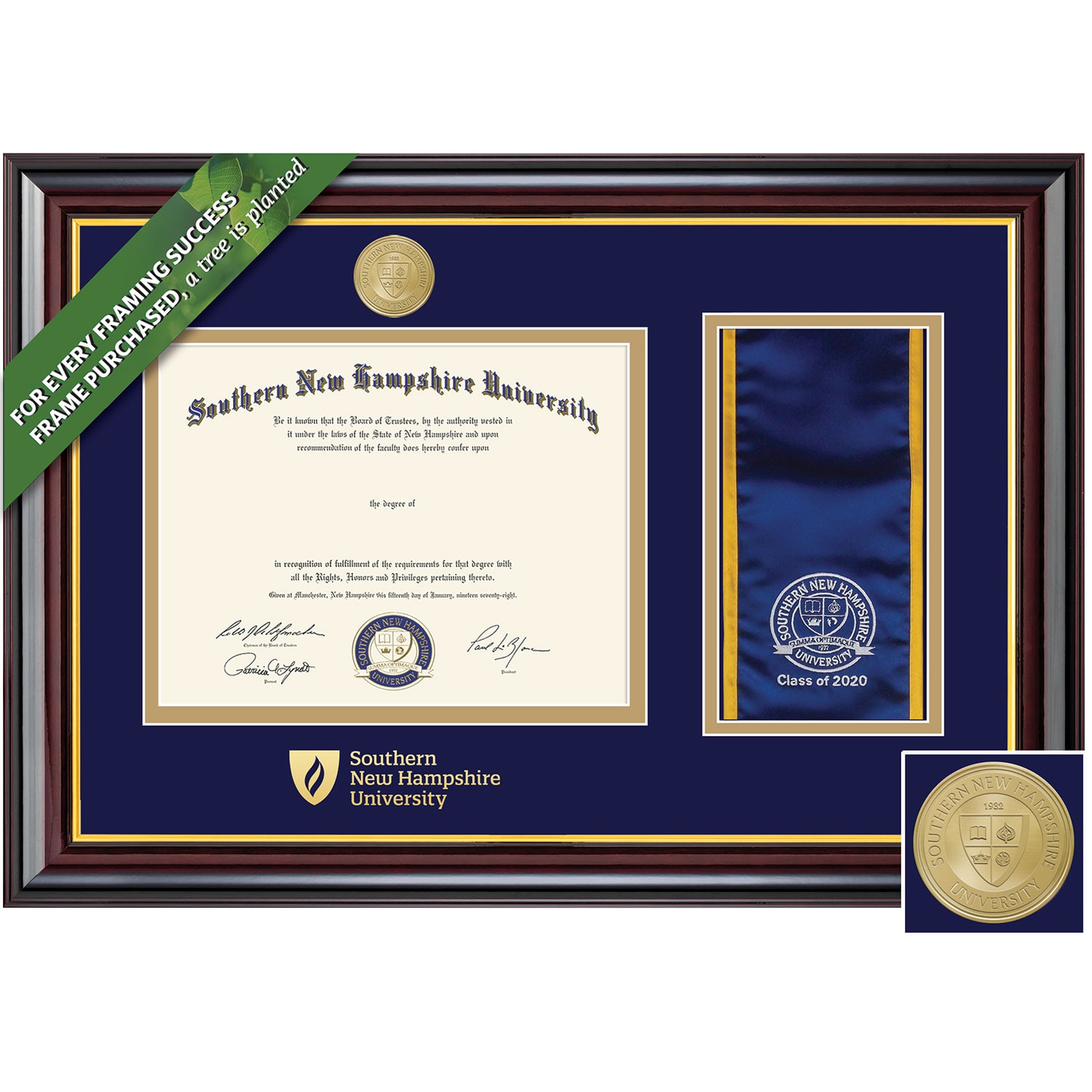 Framing Success 8.5 x 11 Windsor Gold Medallon Bachelors, Masters Diploma/Stole Frame