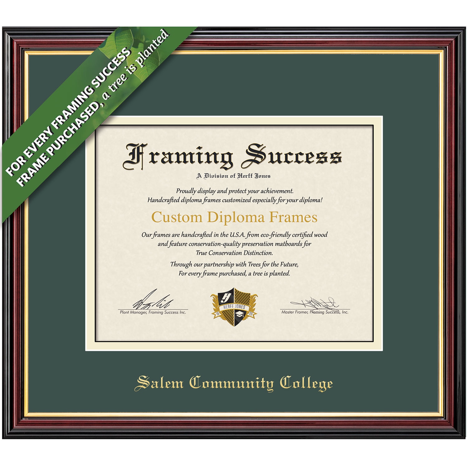 Framing Success 8.5 x 11 Academic Gold Embossed School Name Associates Diploma Frame