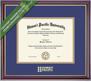 Framing Success 11 x 14 Windsor Gold Embossed School Seal Ph.D Diploma Frame