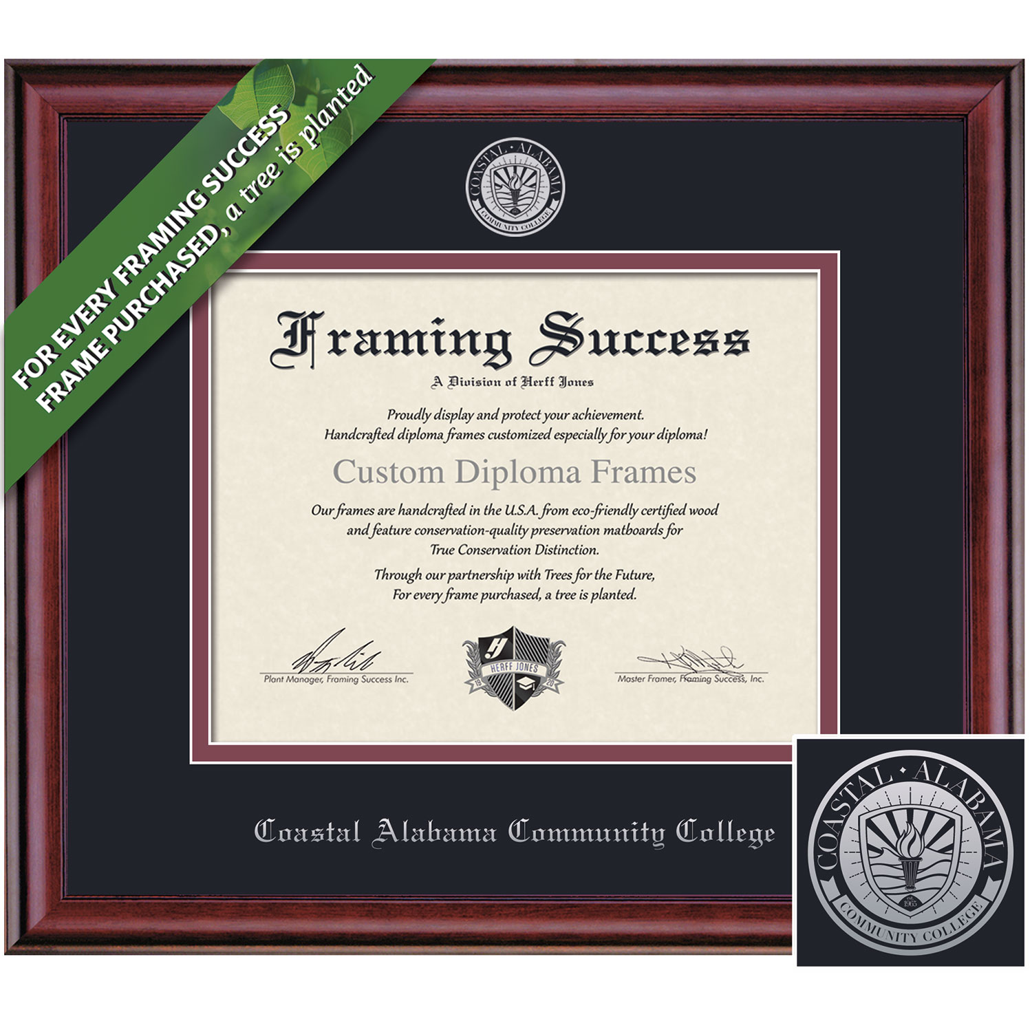 Framing Success 8.5 x 11 Classic Silver Embossed School Seal Associates Diploma Frame