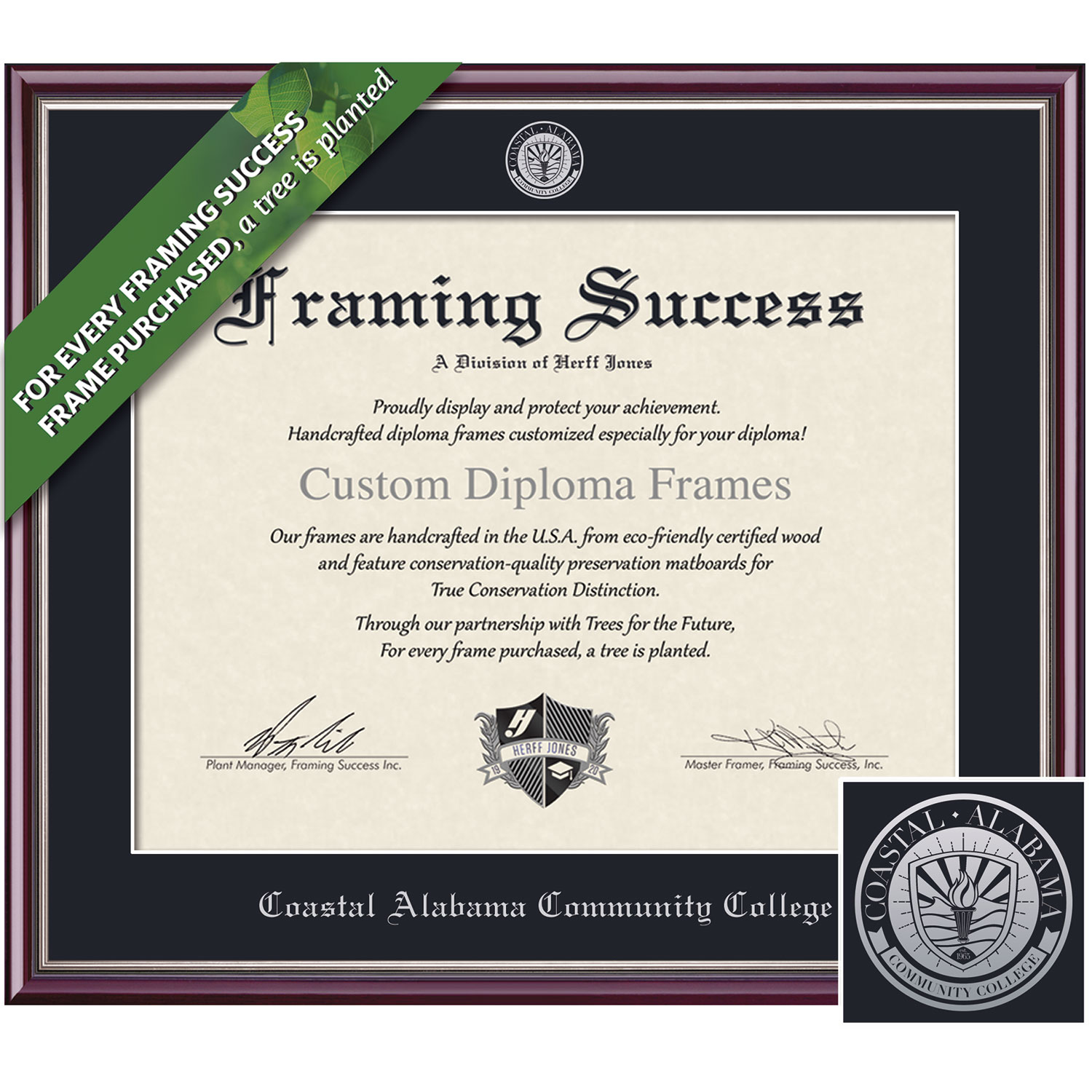 Framing Success 8.5 x 11 Scholastic Silver Embossed School Seal Associates Diploma Frame