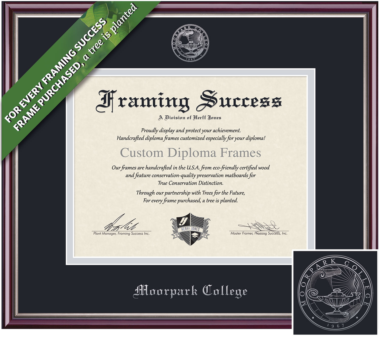 Framing Success 7 x 9 Scholastic Gold Embossed School Seal Associates  Diploma Frame