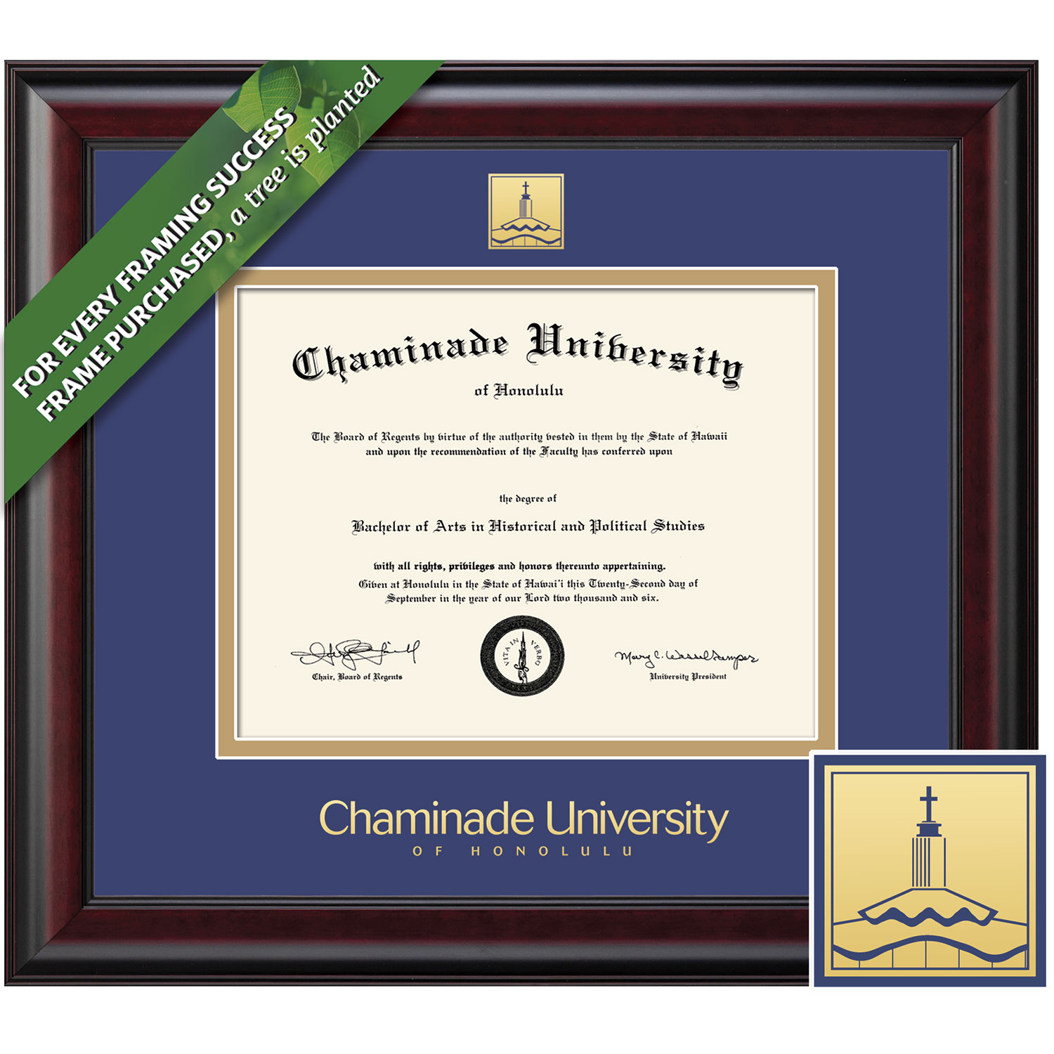Framing Success 8 x 10 Classic Gold Embossed School Seal Associates,Bachelors, Masters Diploma Frame