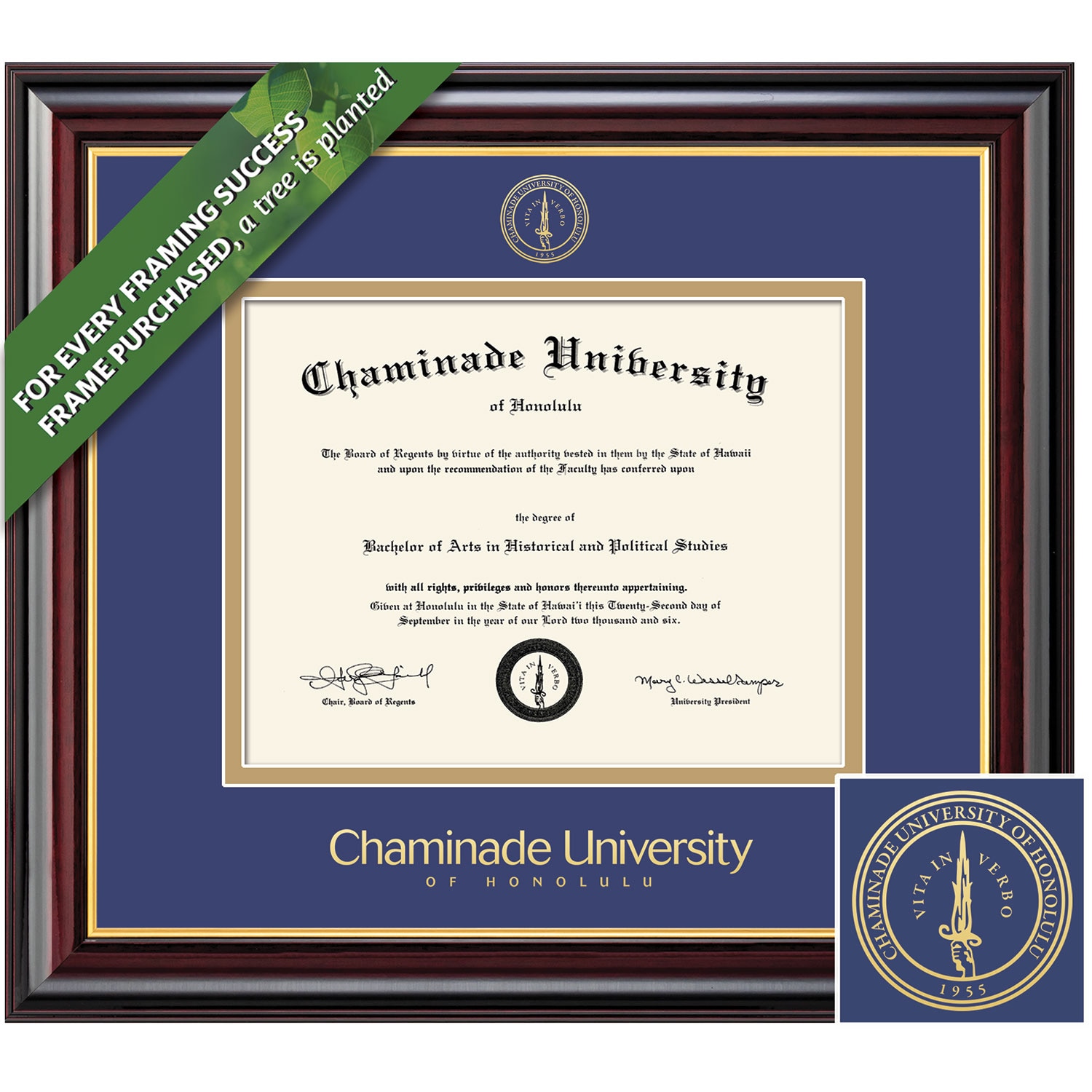 Framing Success 11 x 14 Windsor Gold Embossed School Seal Doctorate Diploma Frame