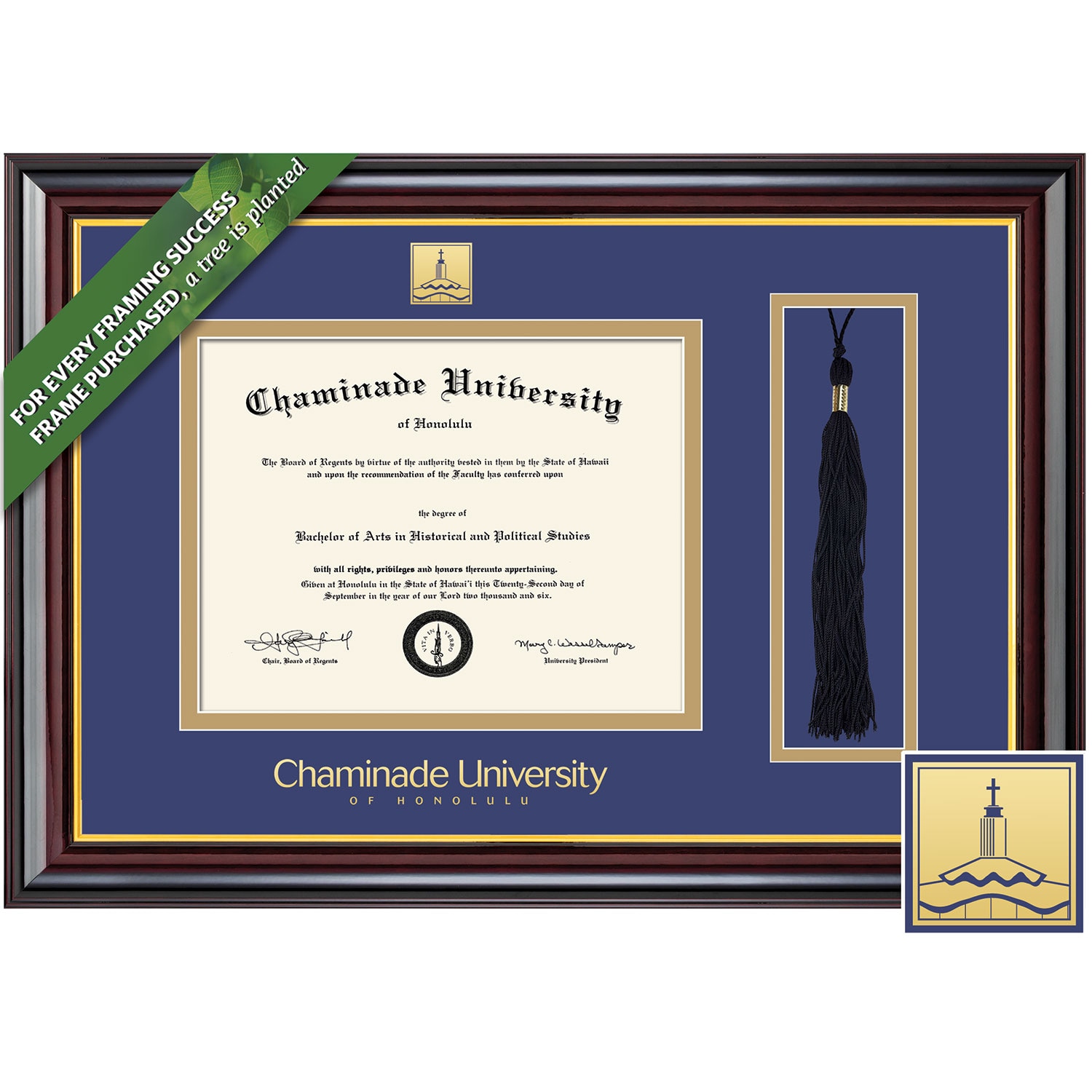 Framing Success 8 x 10 Windsor Gold Embossed School Seal Associates, Bachelors, Masters Diploma/Tassel Frame