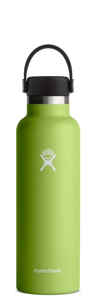 Hydro Flask Standard Mouth Bottle with Flex Cap 18 Oz - Seagrass