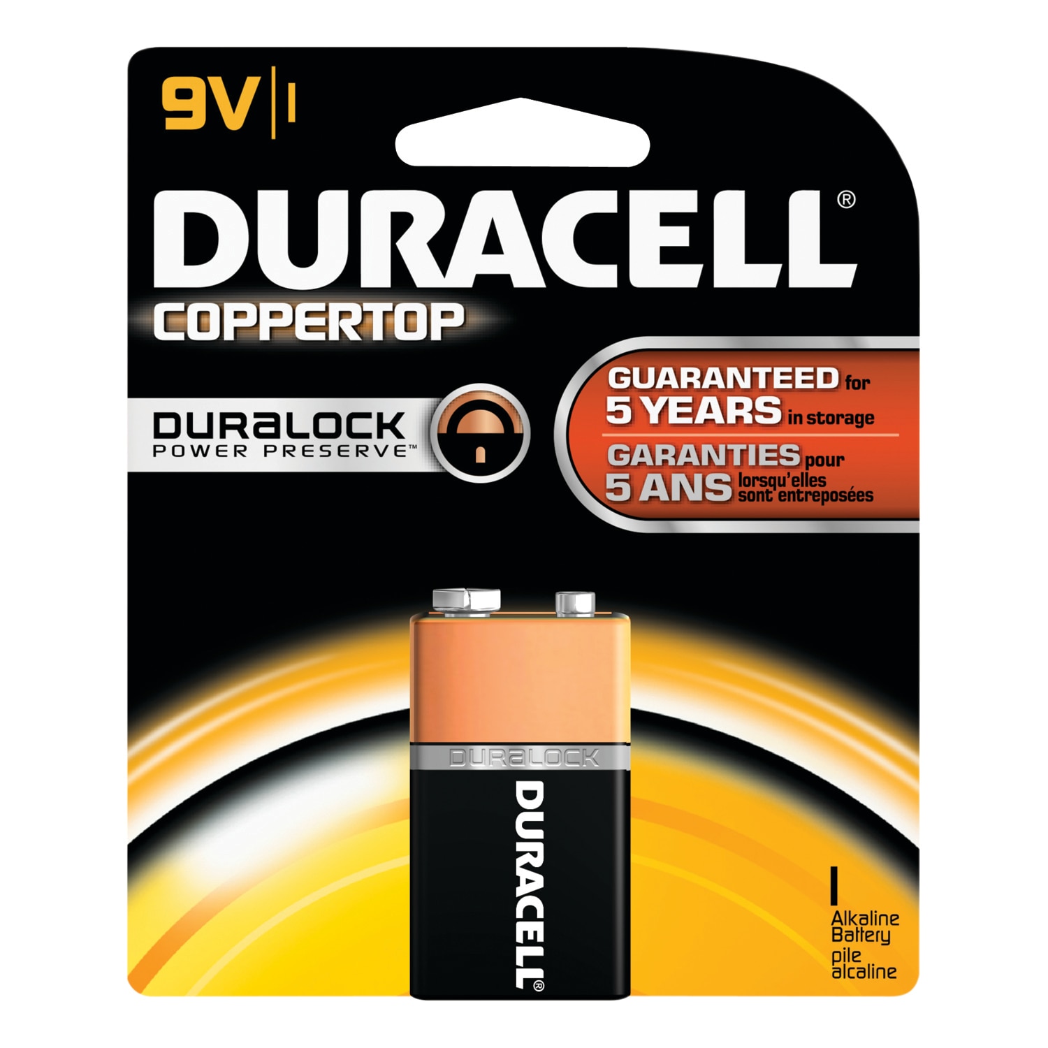 Single 9-Volt Battery