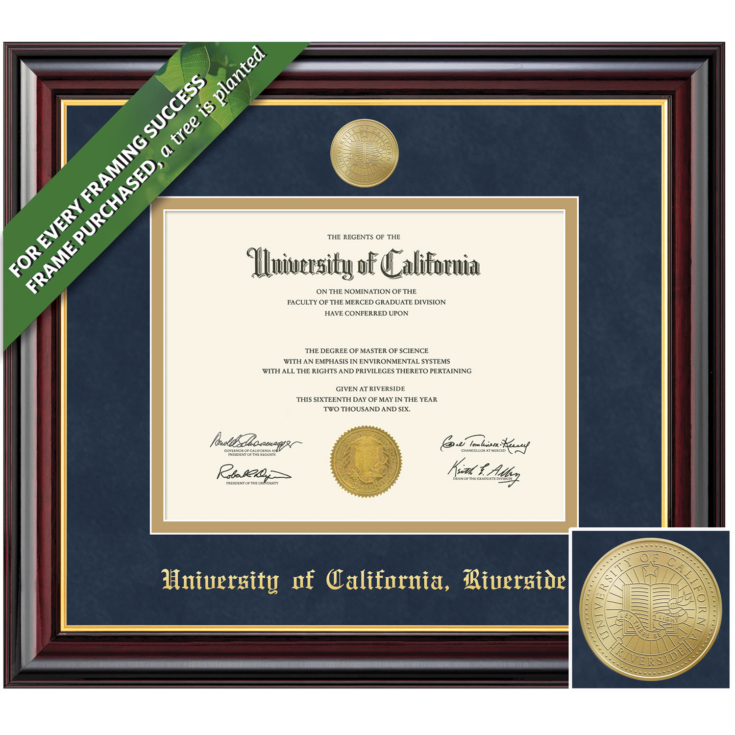 Framing Success 8.5 x 11 Windsor Bachelors, Masters, PhD Diploma Frame