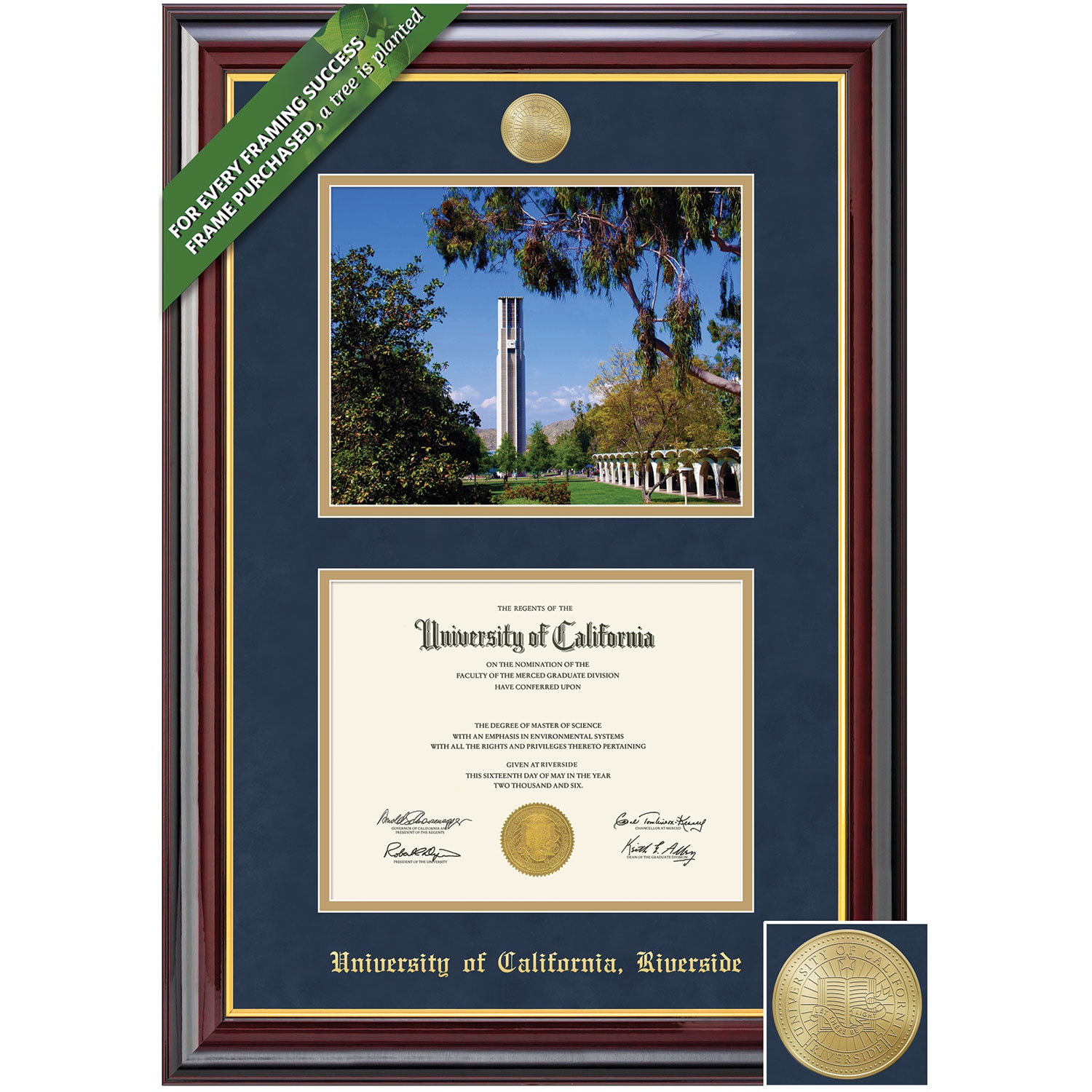 Framing Success 8.5 x 11 Windsor Medallion Bachelors, Masters, PhD Diploma/Photo Frame