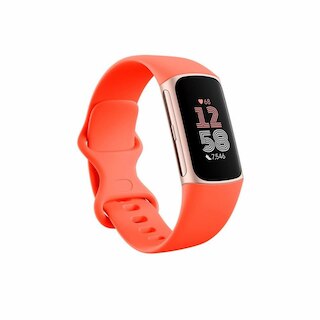 Fitbit Charge 6 Coral Band / Champagne Gold Aluminum Case