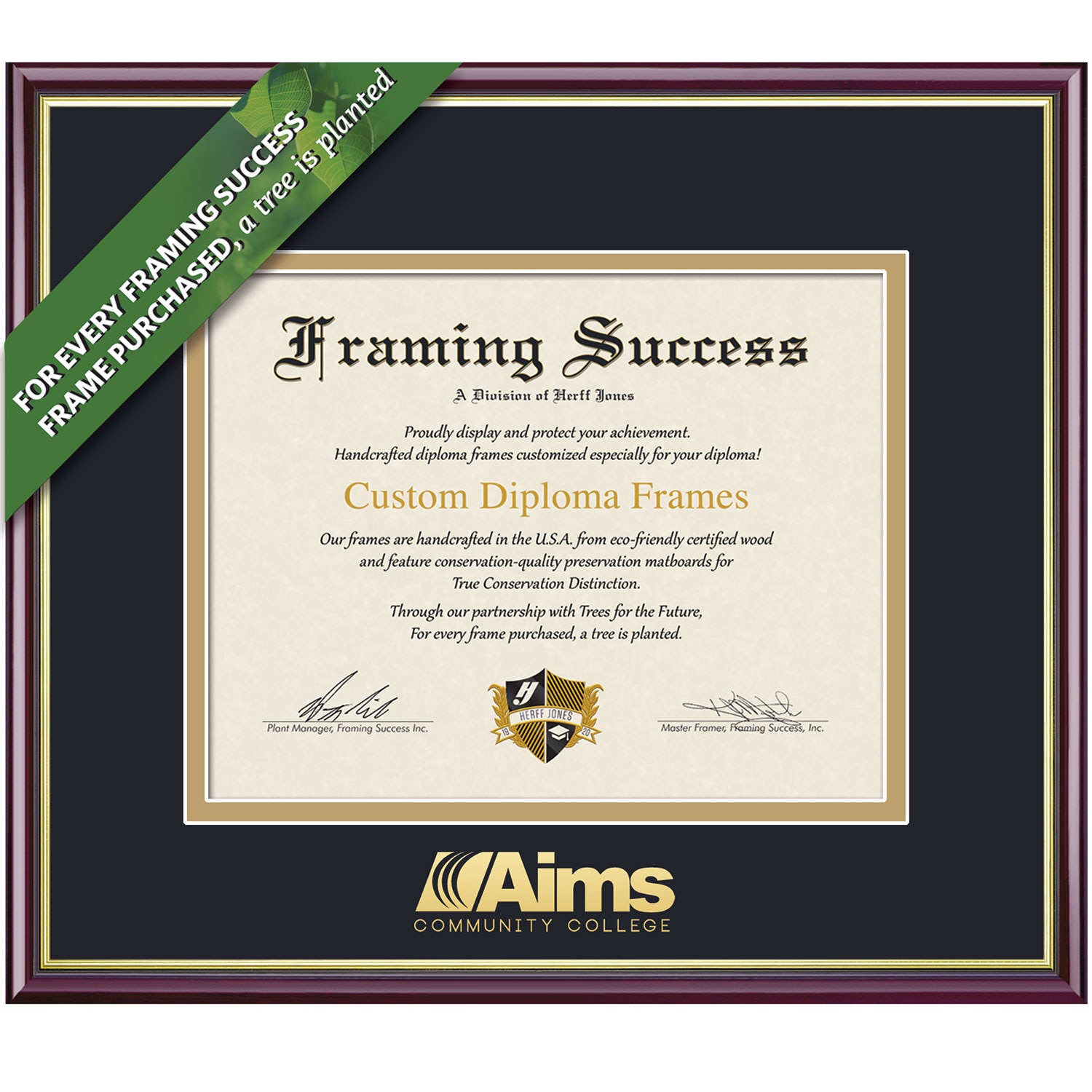 Framing Success 8 x 10 Academic Gold Embossed School Name Associates Diploma Frame