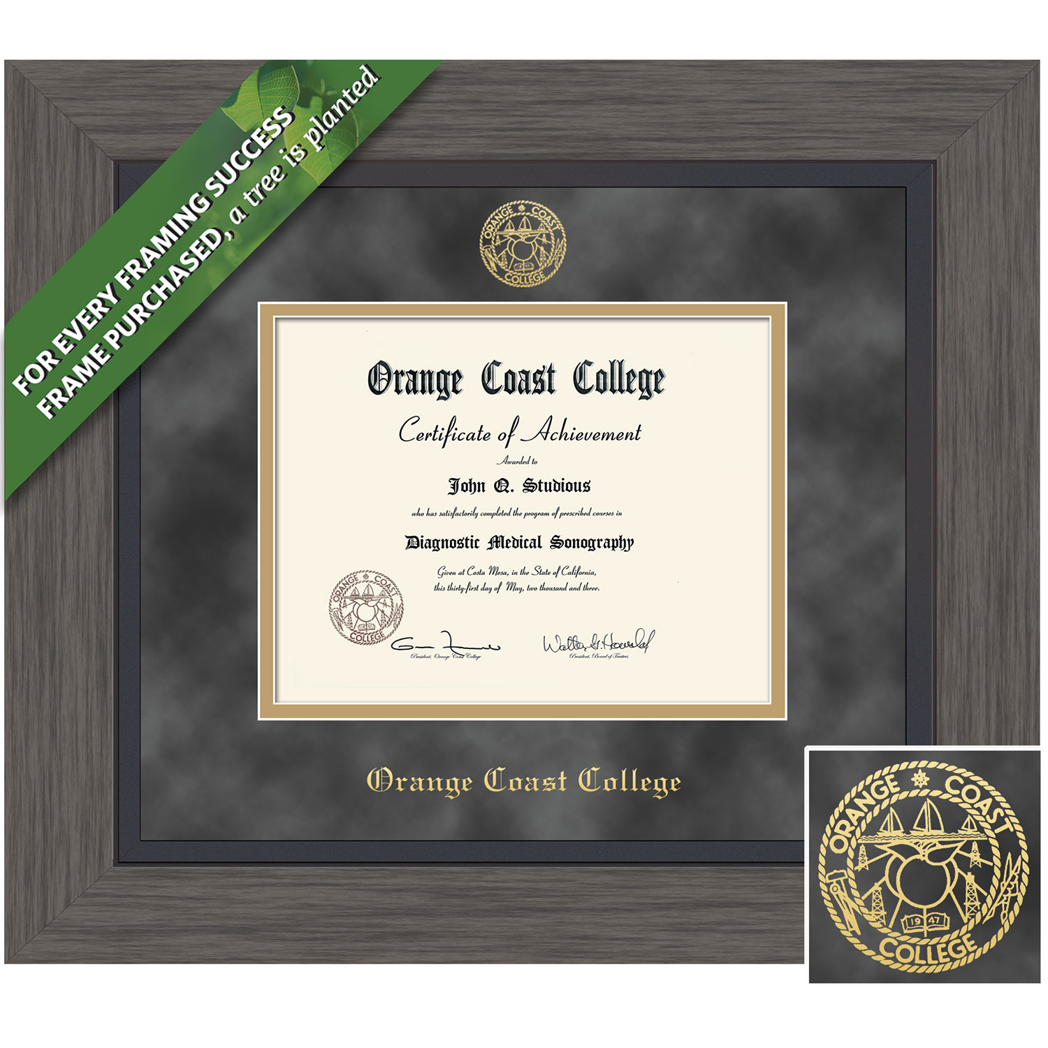 Framing Success 6 x 8 Greystone Gold Embossed School Seal Associates Diploma Frame
