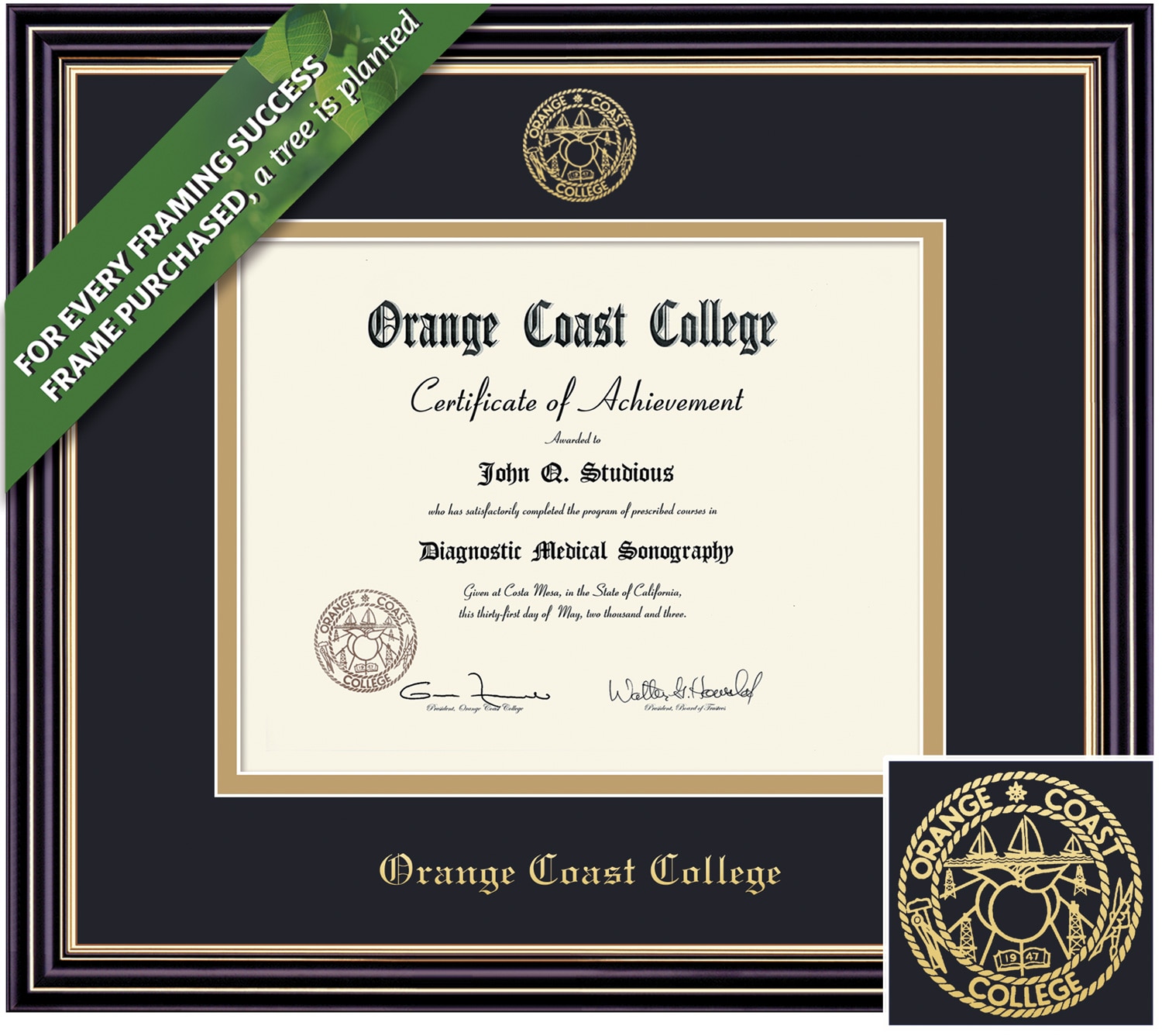 Framing Success 6 x 8 Prestige Gold Embossed Seal Associates Diploma Frame.