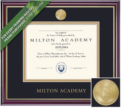 Framing Success 9 x 12 Windsor Gold Medallion High School Diploma Frame