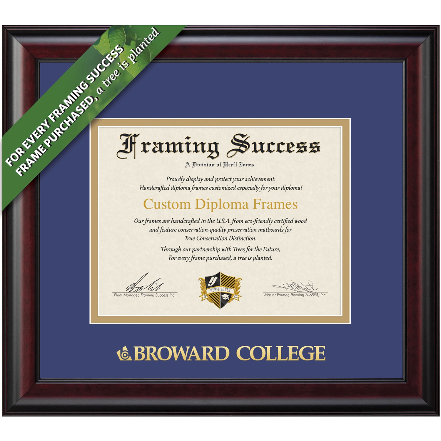 Framing Success 11 x 14 Classic Gold Embossed School Name Bachelors Diploma Frame