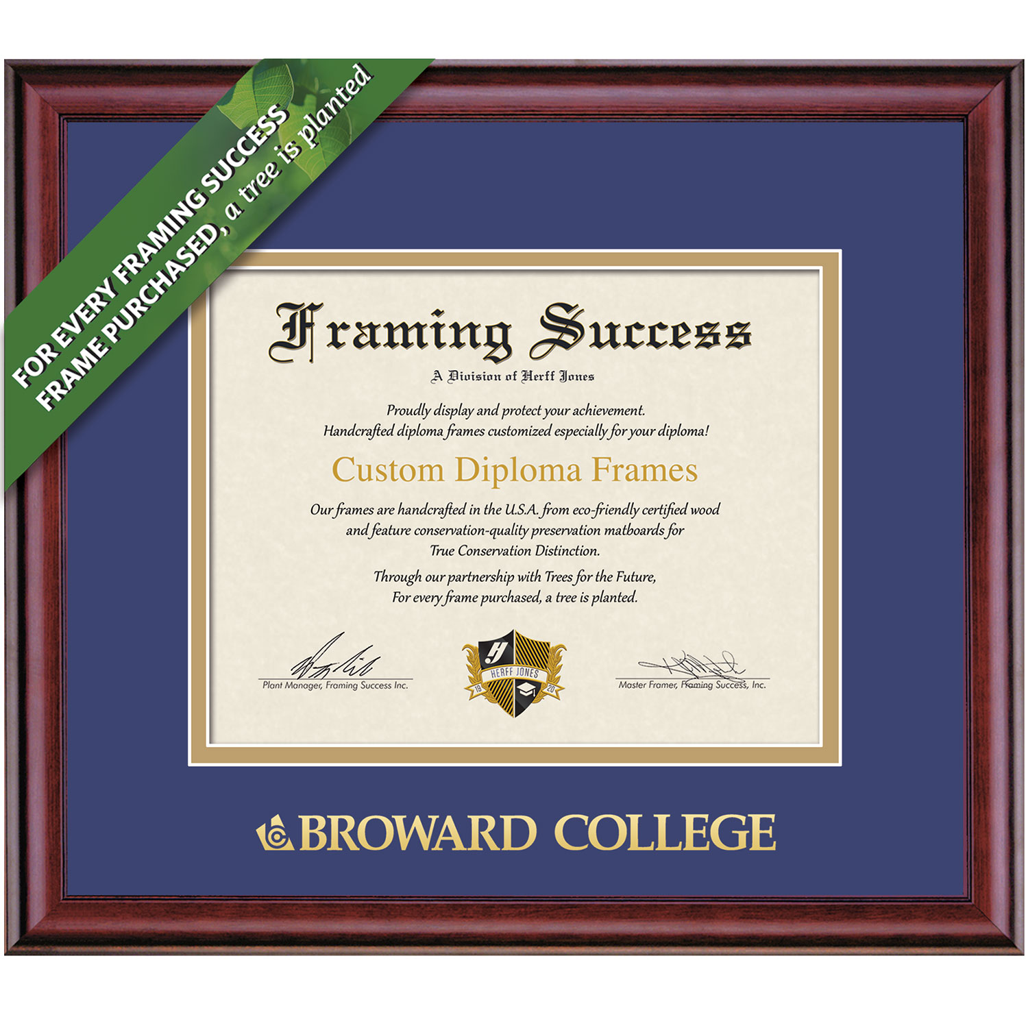 Framing Success 8 x 10 Classic Gold Embossed School Name Associates, Bachelors Diploma Frame.