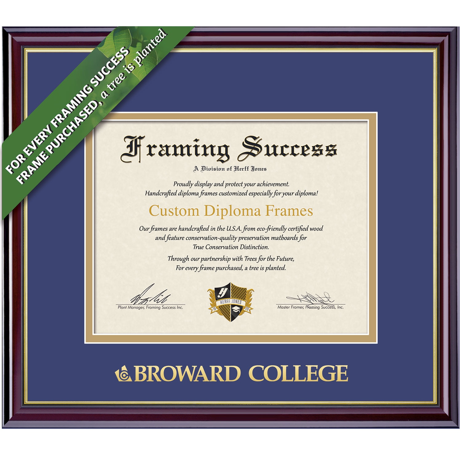 Framing Success 8 x 10 Windsor Gold Embossed School Name Associates, Bachelors Diploma Frame.