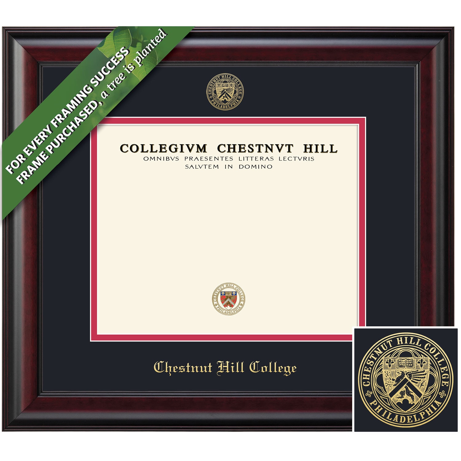 Framing Success 9 x 12 Classic Gold Embossed School Seal Bachelors, Masters Diploma Frame