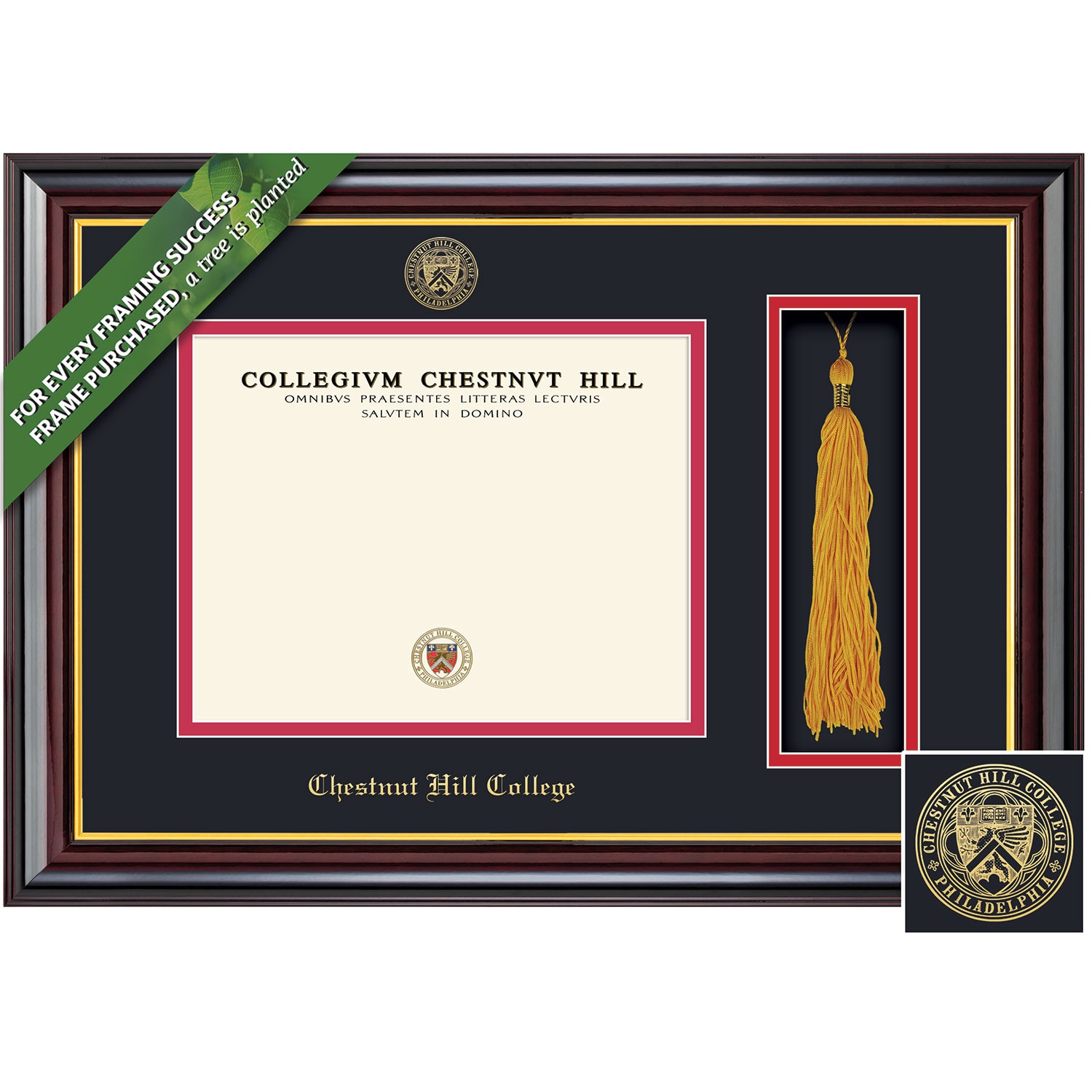 Framing Success 9 x 12 Windsor Gold Embossed School Seal Bachelors, Masters Diploma/Tassel Frame