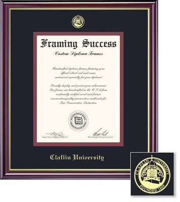 Framing Success 14 x 11 Windsor Gold Embossed School Seal Bachelors, Masters, Doctorate Diploma Frame