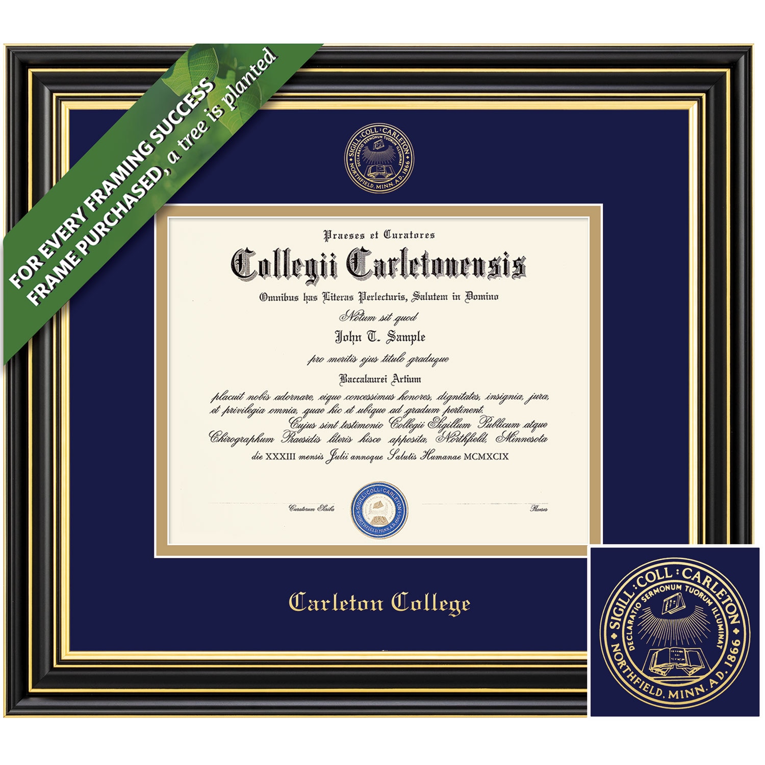 Framing Success 8.5 x 11 Prestige Gold Embossed School Seal Bachelors Diploma Frame