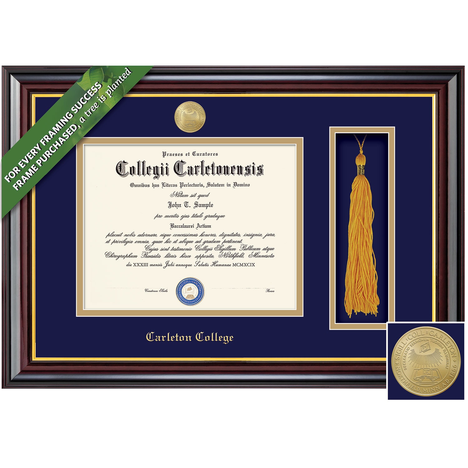 Framing Success 8.5 x 11 Windsor Gold Medallion Bachelors Diploma/Tassel Frame