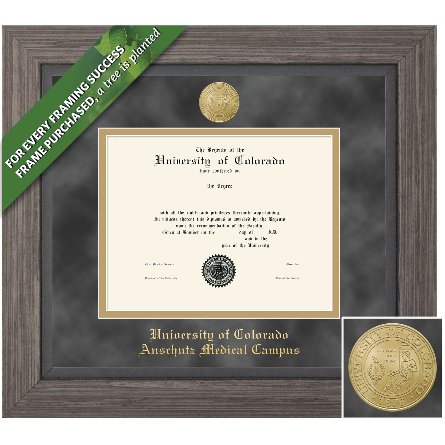 Framing Success 8.5 x 11  Greystone Gold Medallion Bachelors, Masters, Doctorate Diploma Frame