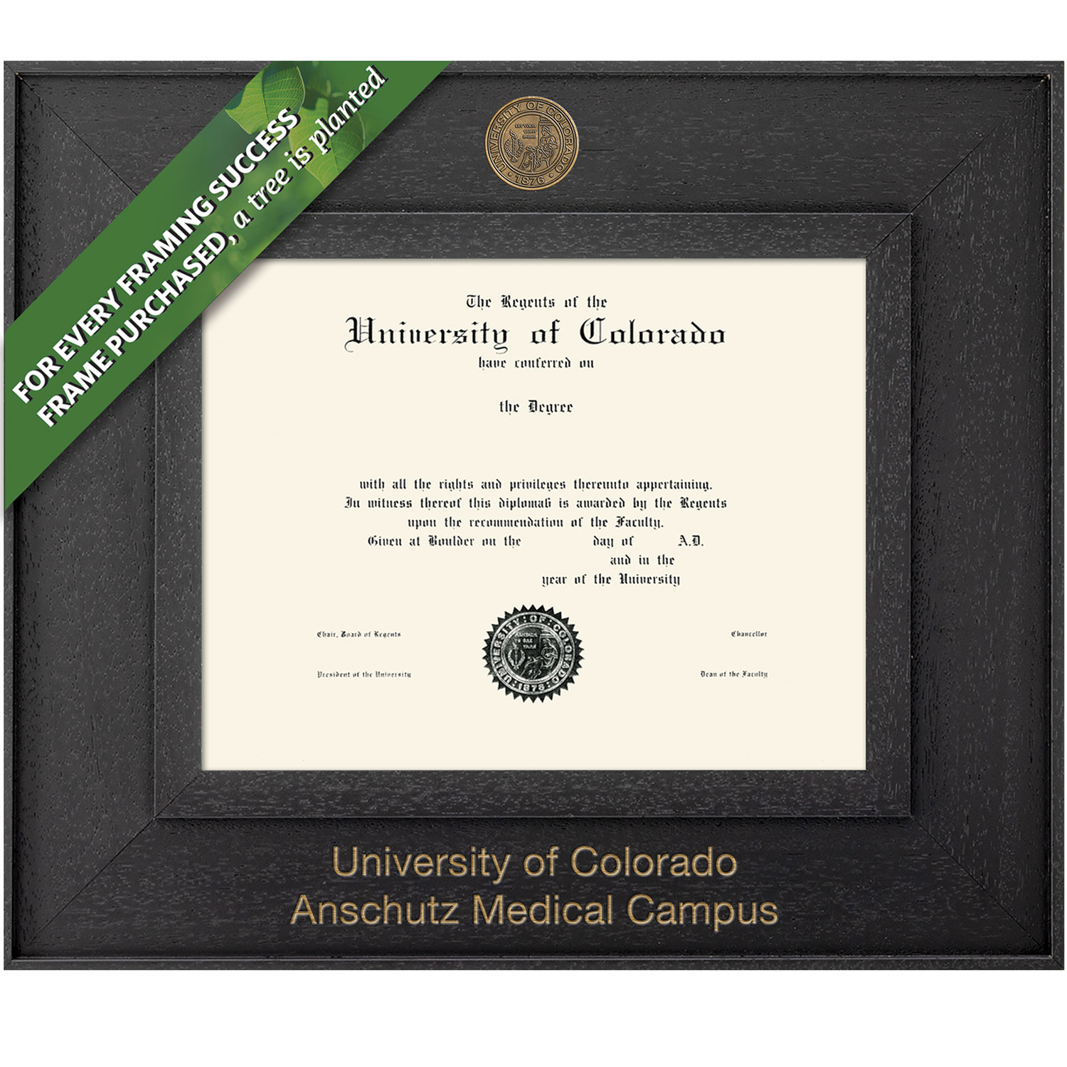 Framing Success 8.5 x 11 Cavalier Antiqued Medallion Bachelors, Masters, PhD, Doc of Philosophy Diploma Frame